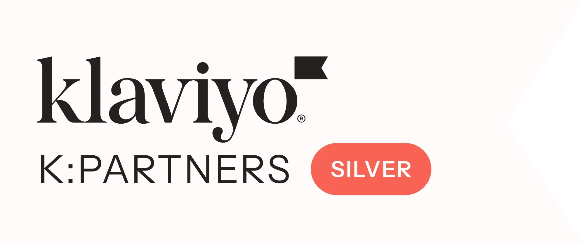 Klaviyo Silver Partner wit