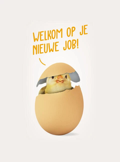 verwelkomingsbeeld onthaalbrochure Belgabroed