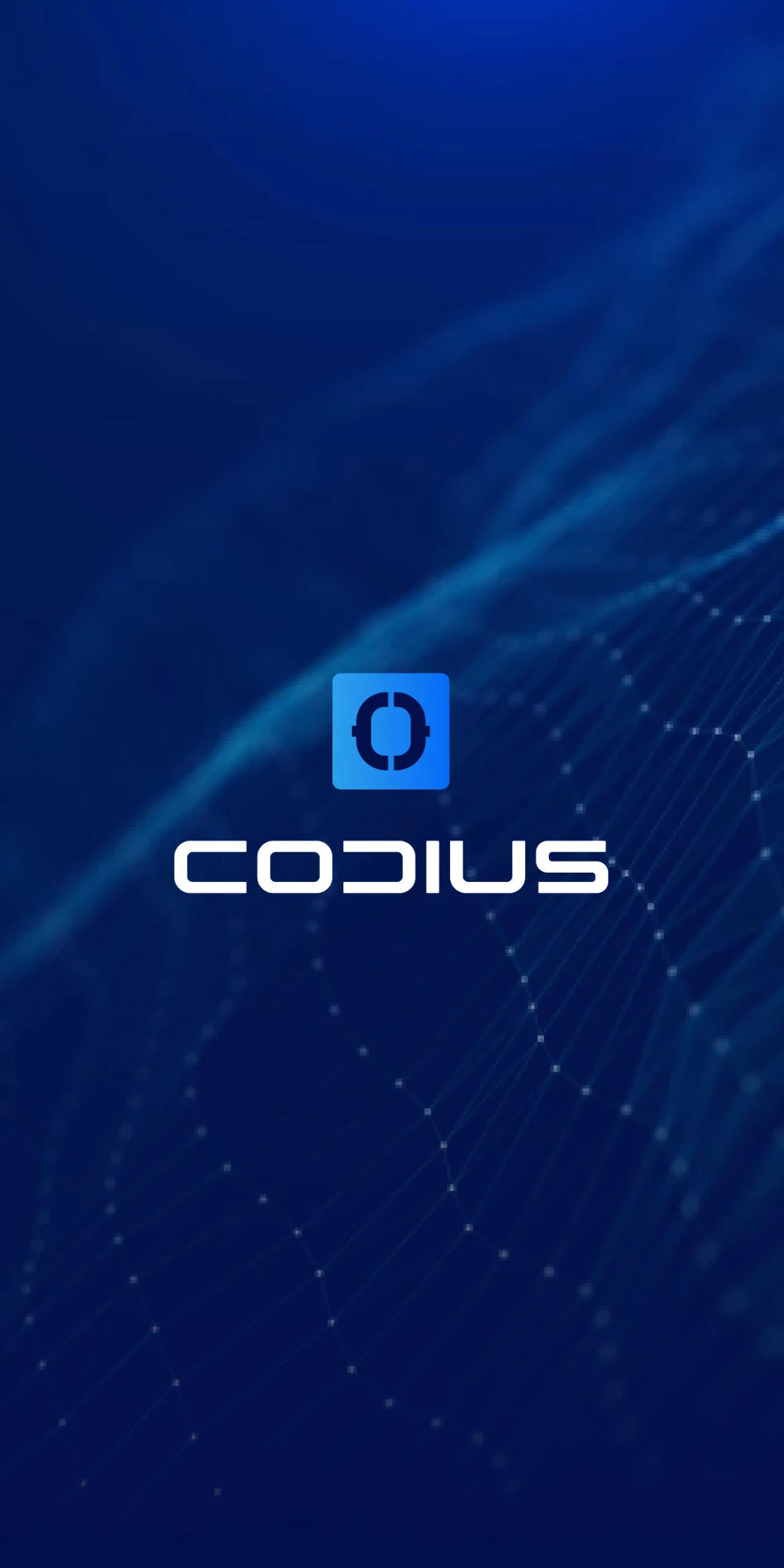 Codius stragegisch merkopbouw logo visual